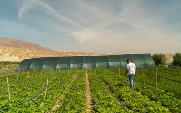 02 HAF technecian YASSINE visiting guercif nursery October 2024 1