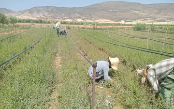 Whats App Image 2024 02 08 at 5 23 09 PM