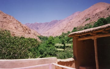 Terrace0001 2