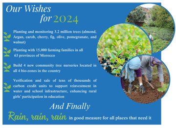 Tree planting 3