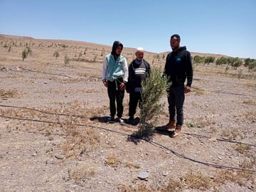 Monitoring 2024 05 21 at 11 31 17 1