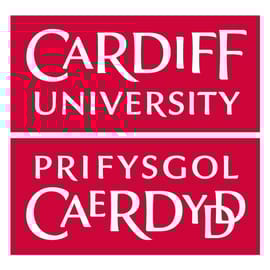 Cardiff University logo for website