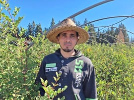 Hicham Jihani