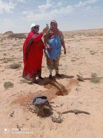 53043732523 5da5d27319 o