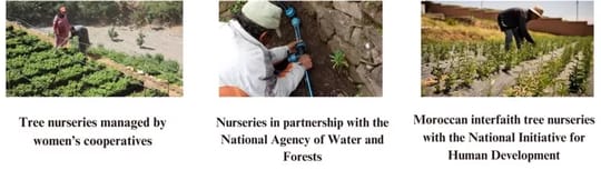Tree planting 2