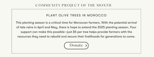 Tree Planting Program Update 2025 Since the start of 2025 HAF has made significant strides in tree planting strengthening partnerships expanding nurseries and increasing community engagement 77