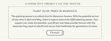 Tree Planting Program Update 2025 Since the start of 2025 HAF has made significant strides in tree planting strengthening partnerships expanding nurseries and increasing community engagement 77
