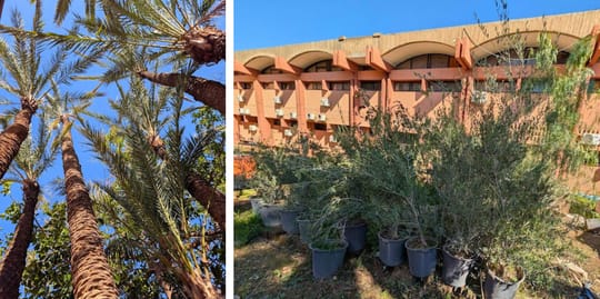 March Program Update 12