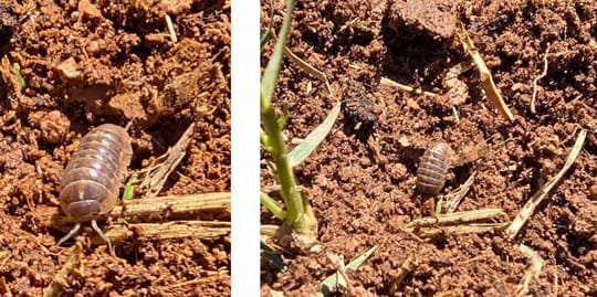 March Program Update 14