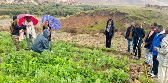 March Program Update 22