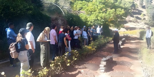 March Program Update 3