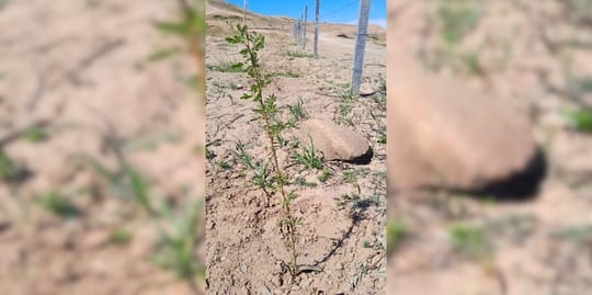 March Program Update 5