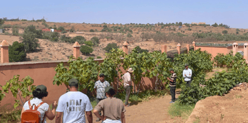 March Program Update 18