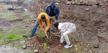 March Program Update 21