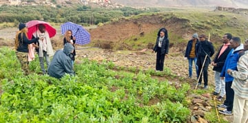 March Program Update 22