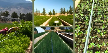 March Program Update 7