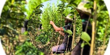 March Program Update 8