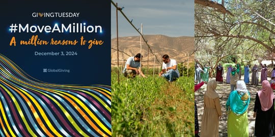 Giving Tuesday Banner 2