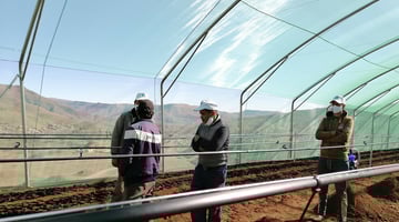 Haf members in a greenhouse