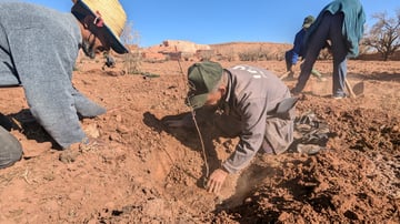 PXL 20250120 135757729