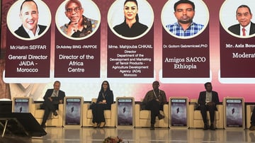 Whats App Image 2025 06 03 at 10 25 06