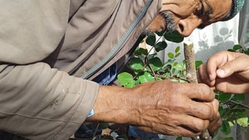 52373217772 1eaabc4050 o