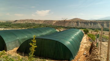 02 Greenhouses in Maskarat nursery October 2024