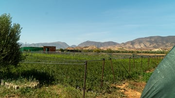 02 Maskarat nursery Guercuf October 2024