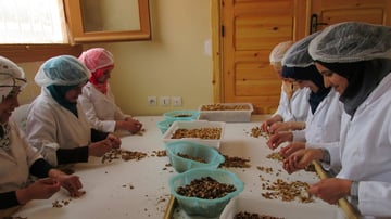 16753533323 de2713a8d0 o