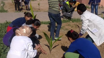 16757234554 0ac725a33e o 2 min