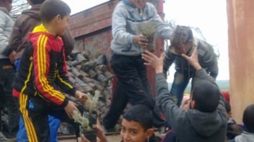 17353767956 6e34d9cfb5 o