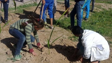 17379436461 3c8f92e11f c