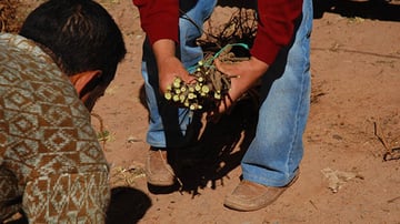 2286124227 da1913c270 o