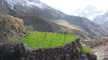 2286918286 23361893f9 o