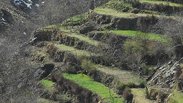 2286945822 77b55c1a7b o