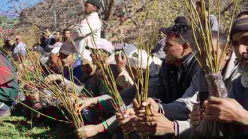 24144322423 5c97b897d2 o