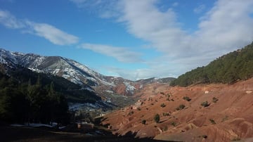 24863396279 0df0217046 c