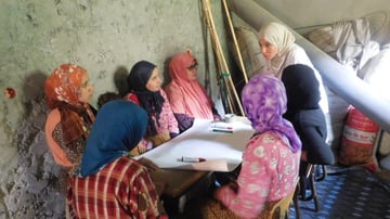 26798483456 28a6ca56cf o