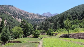 26941424903 8278950ef8 c