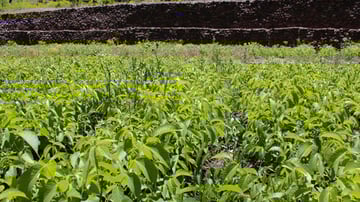 26941649183 5b813490fd 3k