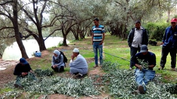 27400597368 53a4e4b87e o