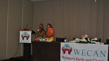 31163237876 1b5f3d46d6 o