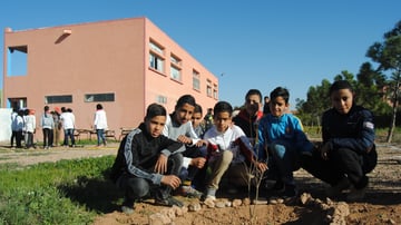 32238078852 a1008954c7 o