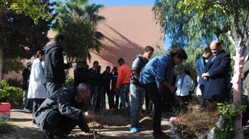 32268401131 ac8d1cd4e0 o