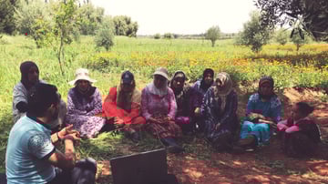 34007049761 c391769b47 o