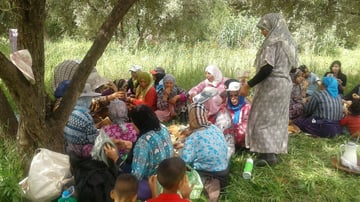 34090717835 20b7d46a79 o