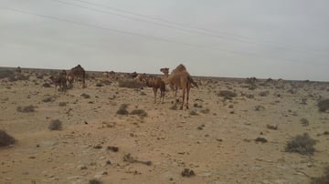 36471144961 68fddb2ba7 o