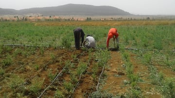 36792183085 d0967ea0bf o