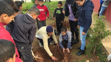 38568936140 07c0872255 o