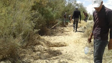 39928096700 284d2bf0aa o